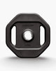 A black cast iron dumbbell plate with octagonal shape, two side handles, and a central metal mounting hole. The brand name 'GUNGNIR' is embossed on the top surface, and '1.