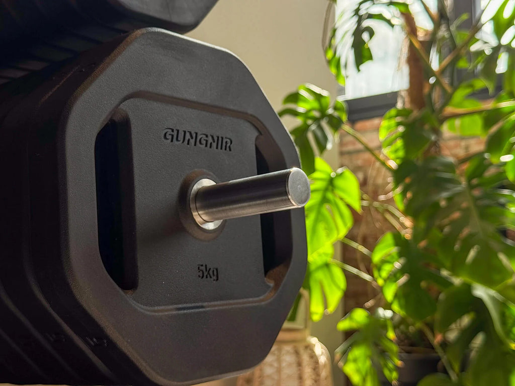 5kg dumbbell with 'Auramin' branding against a blurred indoor background with plants