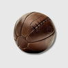 Brown leather medicine ball on a light gray background